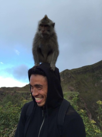 Monkey stop at Mt Batur